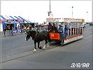 Horse Tram