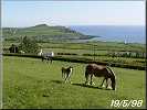 Maughold
